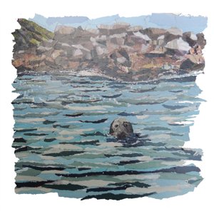 Zeehondeneiland